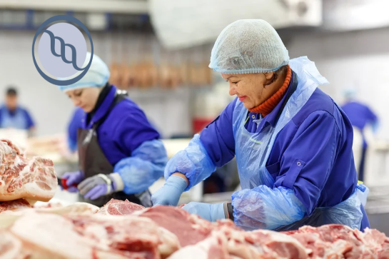 trabalho-em-camera-fria